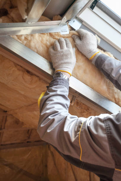 Best Spray Foam Insulation in Dora, AL