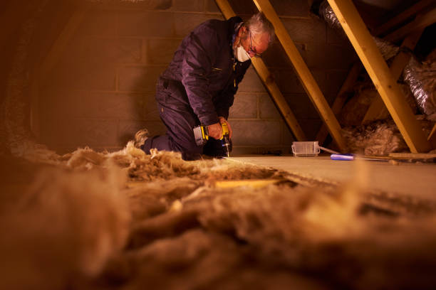 Best Cellulose Insulation in Dora, AL